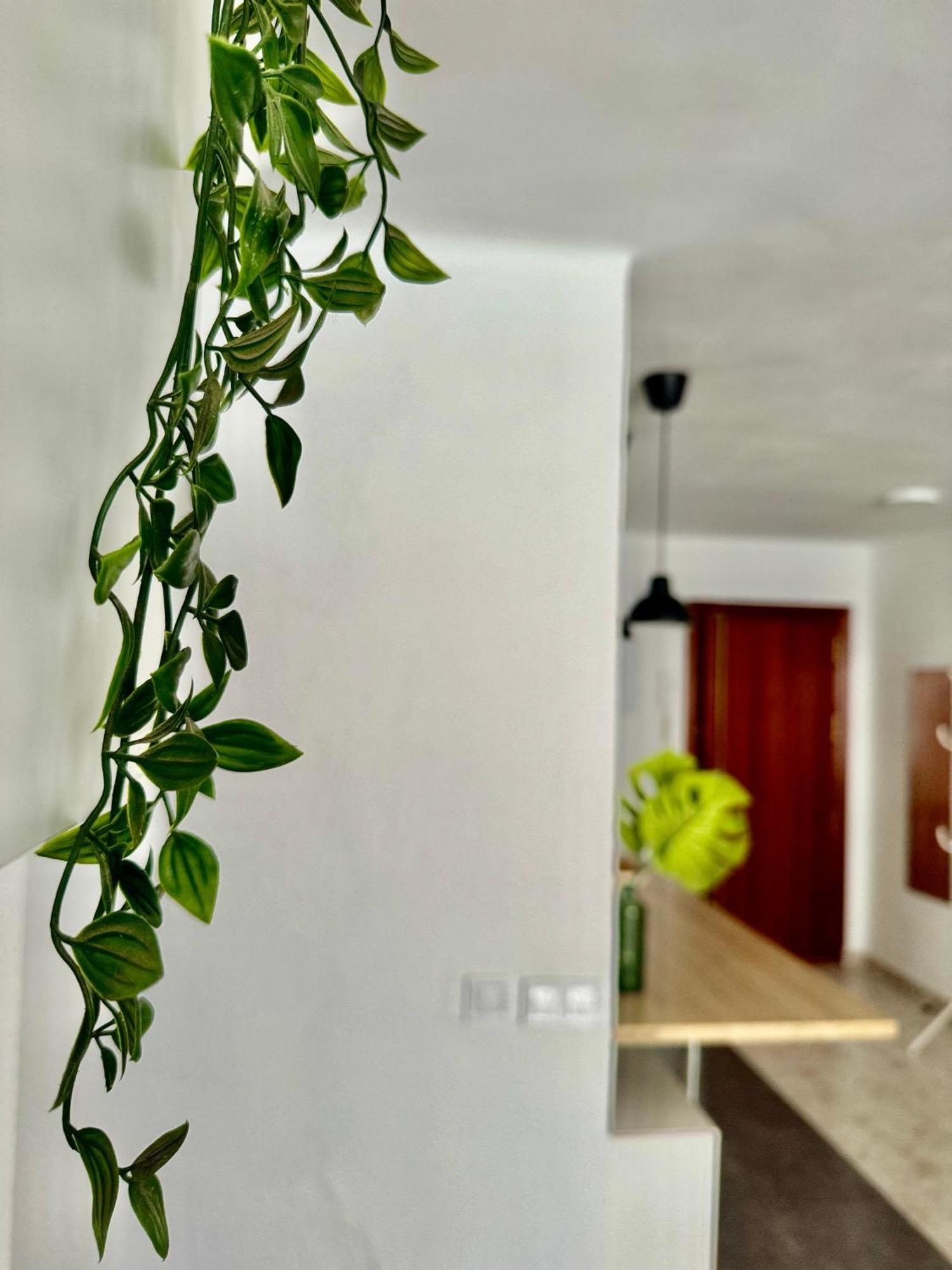 Acogedor Apartamento En Malaga Bagian luar foto